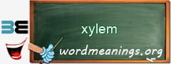 WordMeaning blackboard for xylem